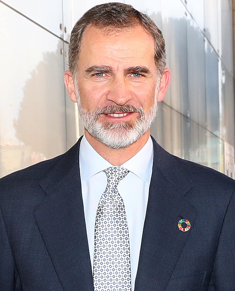 S.M. el Rey, Don Felipe VI