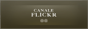 Canal Flirk