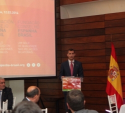 Don Felipe durante sus palabras en el acto de presentación de la Fundación Consejo España-Brasil