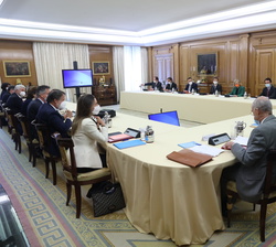 Detalle de la reunión de la Comisión delegada de la Fundación Princesa de Girona presidida por Sus Majestades los Reyes