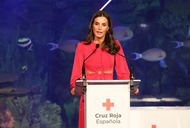 Doña Letizia durante su intervención en el acto conmemorativo del "Día Mundial de la Cruz Roja y de la Media Luna Roja"