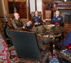 Audiencia militar de Su Majestad el Rey a un grupo de generales de división