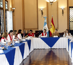 Vista general de la reunión de trabajo sobre los retos en salud mental en Guatemala