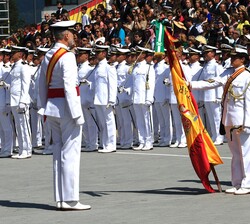 Don Felipe saluda a la Bandera